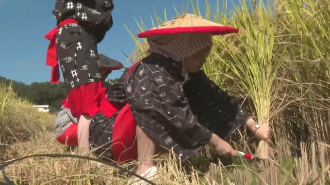中世の田園風景　ユネスコ未来遺産に登録された豊後高田市「田染荘」の収穫祭　|　大分のニュース｜OBS NEWS｜大分放送