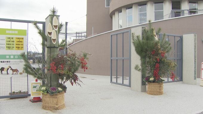 高さ2.5メートル　動物が健康に過ごせるように…巨大な門松設置　山口・周南|TBS NEWS DIG