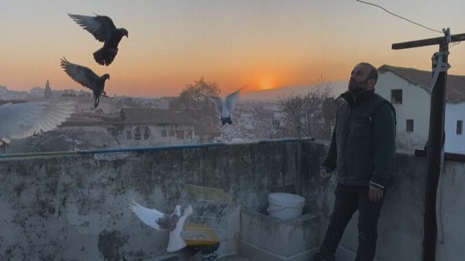 トルコ・シリア大地震　甚大な被害を受けたトルコ南部で多くの動物や鳥を救出|TBS NEWS DIG