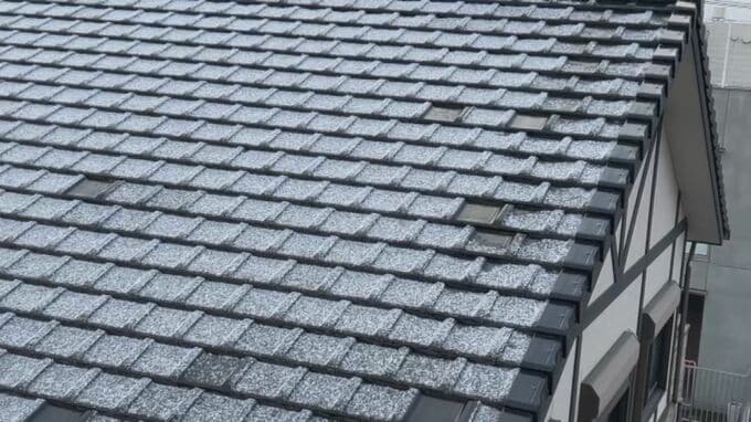 鹿児島市で「初雪」　平年より３日・昨季より７日早く|TBS NEWS DIG