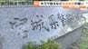 20代男性をリンチし現金奪い取ろうとした強盗傷害の疑い　男６人逮捕　宮城　|　宮城のニュース│tbc NEWS│tbc東北放送