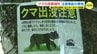 クマ目撃場所に注意喚起の看板　チラシ配布やセンサー設置も　広島･福山市　|　RCC NEWS | 広島ニュース | RCC中国放送