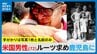 「手がかりは写真1枚と名前だけ」100年以上前に渡米した祖父のルーツ探し…アメリカの男性（72）が鹿児島へ|TBS NEWS DIG