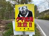 「クマに襲われた」県内でまたクマの被害　公務員の男性　約1.5メートルの成獣にこめかみや手足ひっかかれたか　|　SBC NEWS | 長野のニュース | SBC信越放送