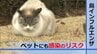 「鳥の横綱級の感染症」鳥インフルエンザ 犬や猫・ペットにも感染のリスク 専門家「感染対策を」　|　山形のニュース│TUYテレビユー山形