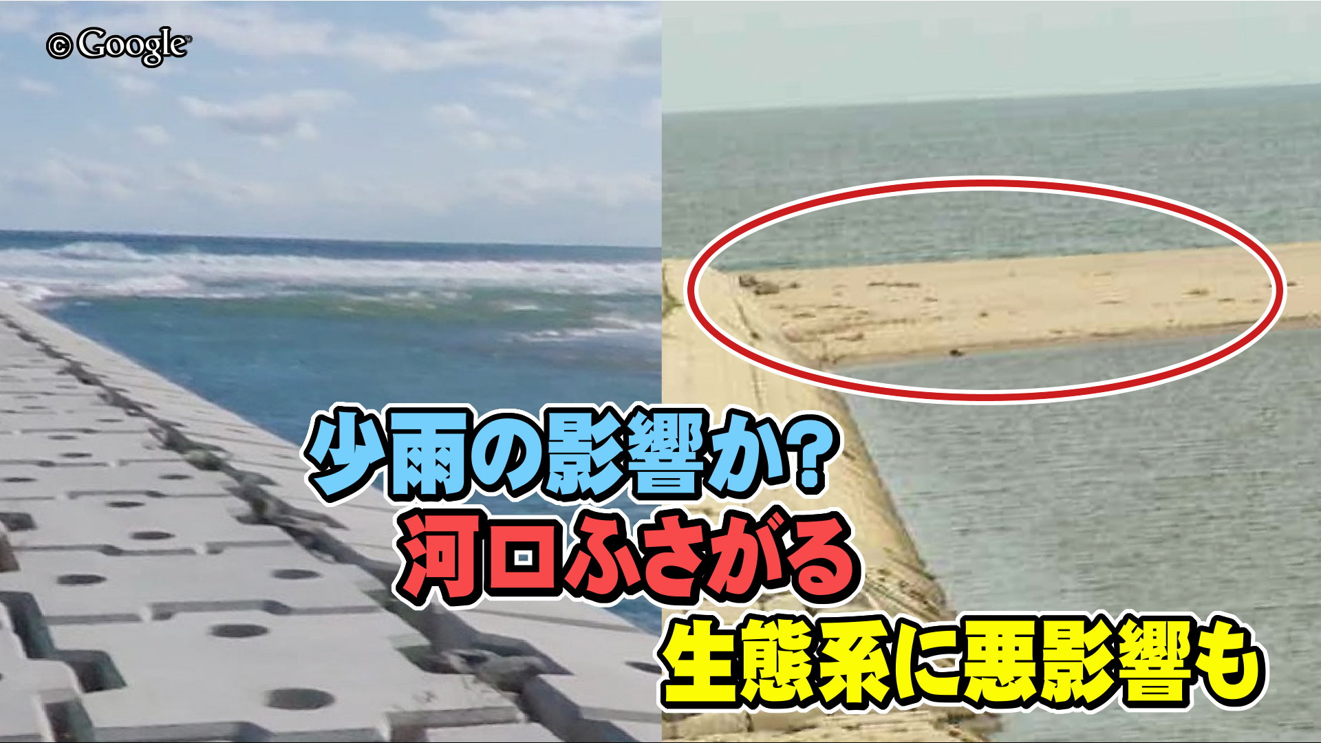 生物の楽園“干潟”が少雨でピンチ 河口が土砂でふさがる「長引けば生態