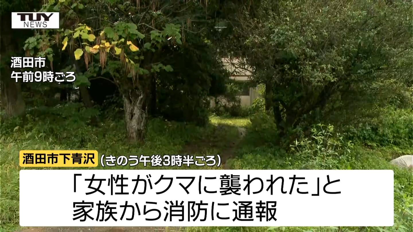 【限定SALE，新作登場】 暑いぞ熊谷 熊谷市出自 移設廃棄された 土製御キツネ様 胡粉白色系35匹 御狐様信仰　お稲荷様 状態良い白狐　検　オオカミ 神道美術