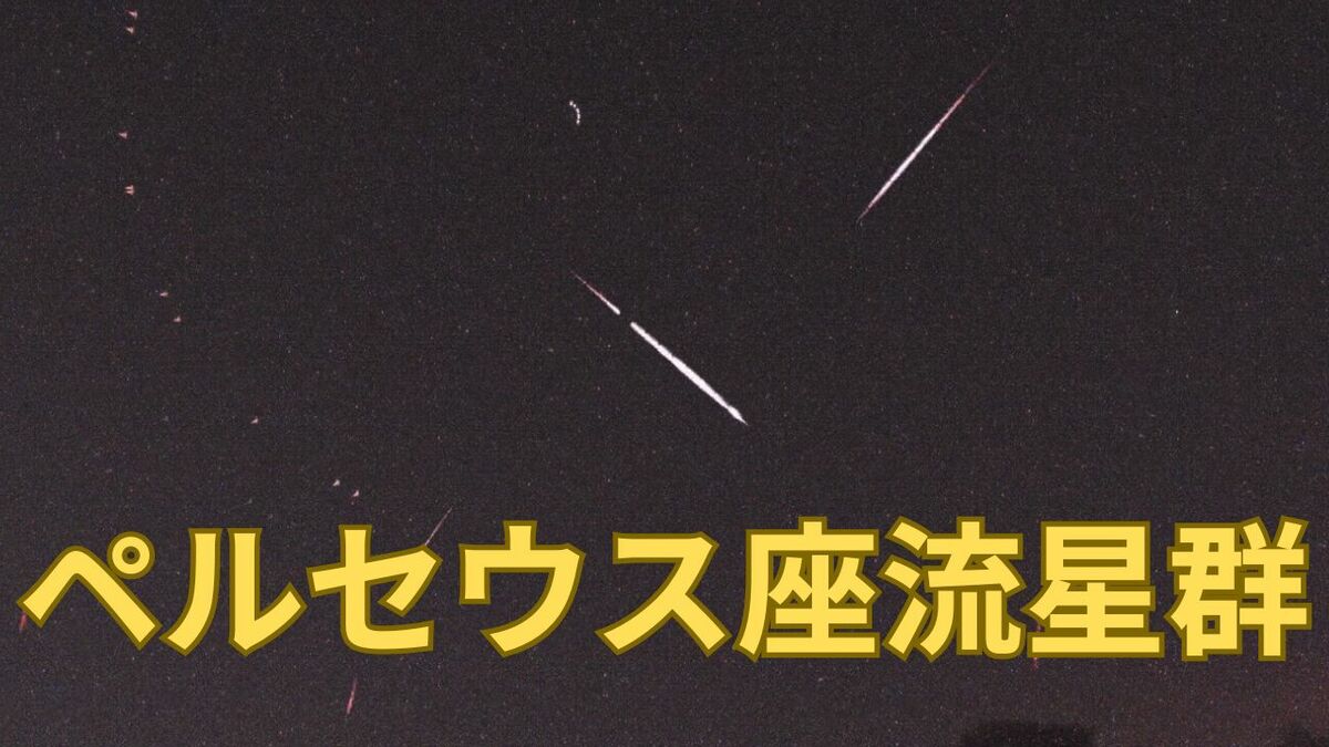 流星観測のポイントは月」月明りの少ない今が観察のチャンス