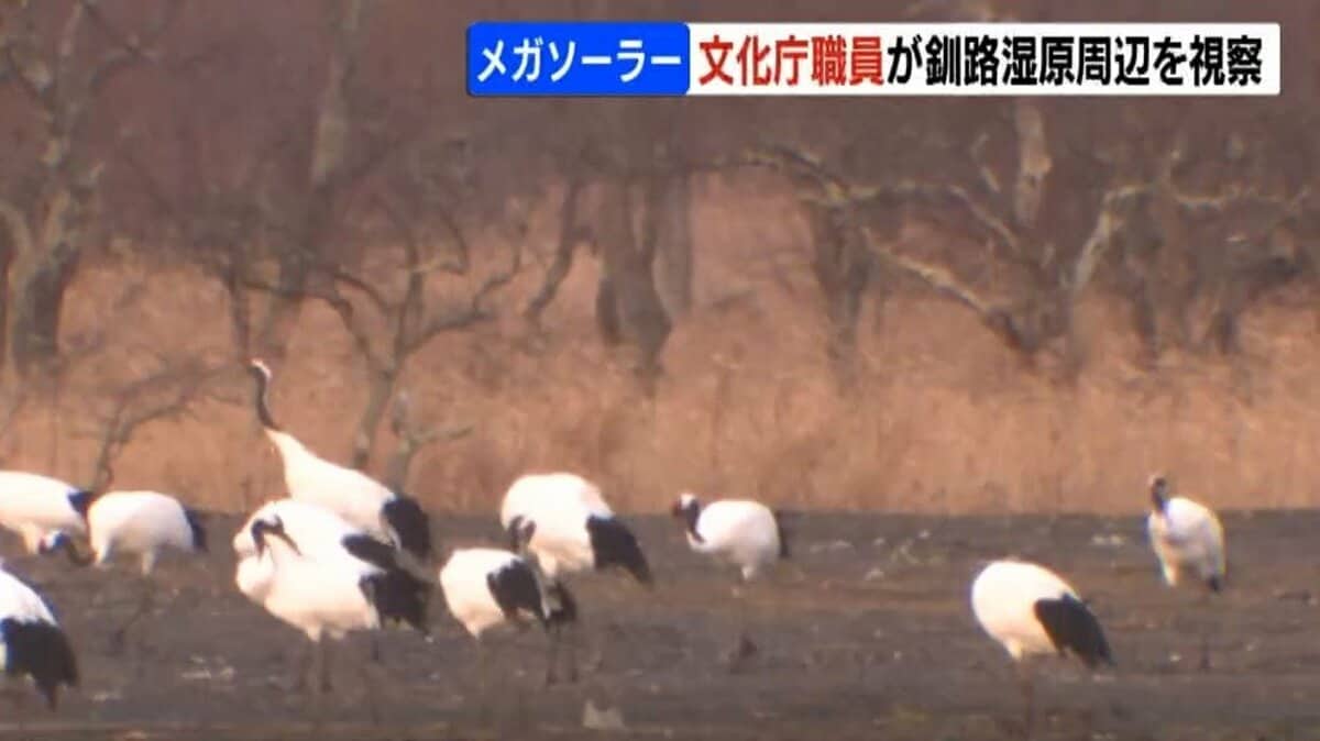 メガソーラー建設計画が進む釧路湿原周辺を文化庁職員が視察