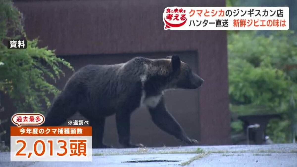 ヒグマ肉とエゾシカ肉も味わえるジンギスカン店が狸小路にオープン