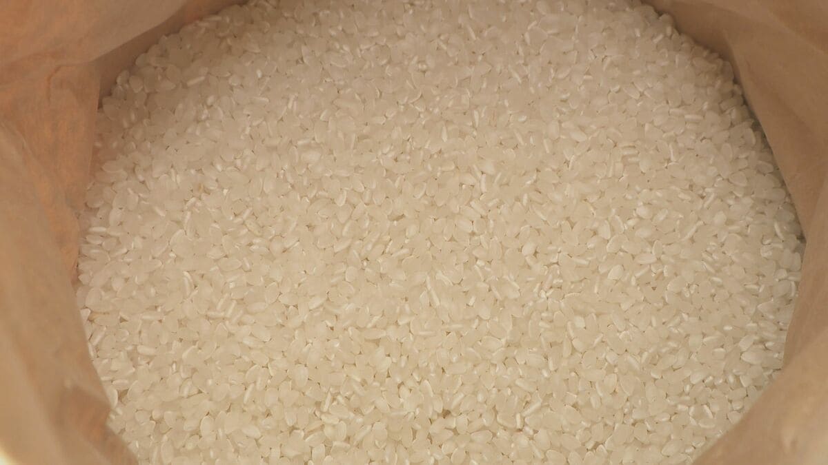 新米の集荷競争が激化 ｢集荷重視で、消費者が求めている価格が無視されている｣ そんな中…副業で稼ぐ外国人も？