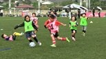 浅口市で「U－9さっかー祭り」　小学3年生以下を対象にしたサッカー大会「将来に向けて夢を作るきっかけになれば」【岡山】|TBS NEWS DIG