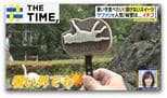 アイスもチョコも「溶けないスイーツ」が全国に拡大中【THE TIME,】 |TBS NEWS DIG