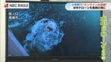 「海の中にいるみたい」水中ドローンで長崎市の海と小学校をつなぐ オンライン水族館 | 長崎のニュース | 天気 | NBC長崎放送