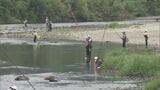 130人が釣果を競う 清流で鮎の友釣り大会開催 | 名古屋・愛知・岐阜・三重のニュース【CBC news】 | CBC web