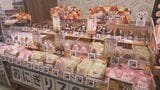開店前には約500人の行列 “食品強化型ドンキ” ロビン・フッドの全国1号店が愛知に｢暮らしを守り、ニーズをズバッと射抜きたい｣ あま市|TBS NEWS DIG