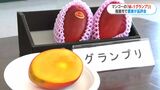 いぶすき農協M-1グランプリ 味・色・形のいいマンゴー決定戦 鹿児島|TBS NEWS DIG