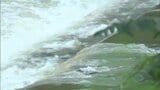 台風7号は27日昼過ぎにかけて岡山・香川に接近し次第に遠ざかる　気象台は引き続き土砂災害に注意を呼びかけ（27日午後5時現在）|TBS NEWS DIG