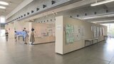 力作ぞろい!大分市の小学生の自由研究展 | 大分のニュース|OBS NEWS|大分放送