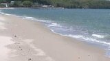 海水浴場の水質調査 大志生木・黒島など4か所「最高評価」 他の5か所も「海水浴可能評価」 大分 | 大分のニュース|OBS NEWS|大分放送