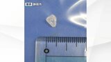 学校給食のラタトゥイユにプラスチック片が混入 1年生の児童が吐き出す 混入経路わからず=静岡 | 静岡のニュース | SBSNEWS | 静岡放送