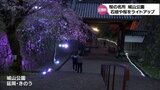 幻想的な空間 延岡市・城山公園で石垣や桜をライトアップ 7日まで | MRTニュース | MRT宮崎放送