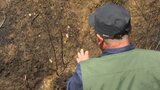17年前に火災の被害に遭った“笠松山”が再び火災に…植樹続ける男性が鎮火受け山へ「目の当たりに見てみたら本当にショック」それでも再生諦めず 愛媛県・今治市 | 愛媛のニュース - Nスタえひめ|あいテレビは6チャンネル