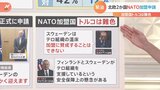 「フィンランドとスウェーデンはテロ組織を支援している」トルコが2国のNATO加盟に難色示すワケ 専門家「ある種の条件闘争では」|TBS NEWS DIG