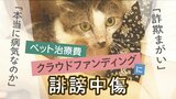 「本当に病気なのか」「詐欺まがい」ペットの治療費クラファンに『誹謗中傷』...送り主の主張「ペットは生活に必ず必要なものではない」|TBS NEWS DIG