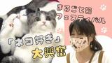 【とろける！】ネコ好き興奮「まるごと猫フェスティバル」福岡で開催中　「かわいすぎてだめ」「たまらない」　|　福岡のニュース｜RKB NEWS｜RKB毎日放送