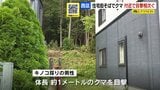 【クマ情報】「茂みからぬーっと出てきた」札幌市西区の住宅街近くで目撃相次ぐ | 北海道のニュース|HBC北海道放送