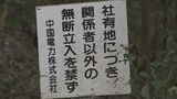 中間貯蔵施設　中国電力伐採着手せず　期限はきのうまで　「資材の準備などを進めている」伐採届け再提出は検討　|　山口のニュース・天気・防災｜tys NEWS｜ｔｙｓテレビ山口