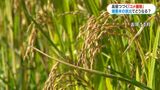 備蓄米放出も「以前の価格帯に戻る可能性低い」見方も 農家は生産コスト2倍「やっていけない」 鹿児島 | 鹿児島のニュース|MBC NEWS|南日本放送