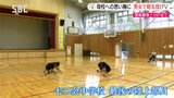 【こども未来プロジェクト】来年閉校の中学校で砲丸投げ県大会男女V!北信越、そして全国へ | SBC NEWS | 長野のニュース | SBC信越放送