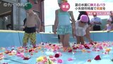 ゴージャス!水面彩る400輪のバラ プールに響く園児の歓声 富山・小矢部市|TBS NEWS DIG