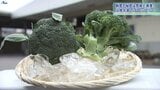 海沿いなのに高原～涼しい岩手県沿岸北部はブロッコリーの産地！　鮮度抜群の秘密とは？　|　IBC NEWS | IBC岩手放送