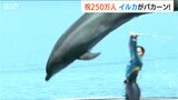バンドウイルカがくす玉割って入館者250万人をお祝い 水族博物館うみがたり 新潟県上越市|TBS NEWS DIG