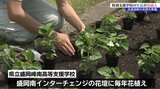 盛岡の支援学校の生徒が盛岡南ICの花壇整備 自分たちで栽培したサルビアの苗を手植え|TBS NEWS DIG