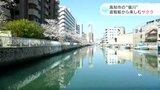 「風を一緒に感じられる」高知市の“堀川” 遊覧船から楽しむサクラ | 高知のニュース・天気|KUTV NEWS | KUTVテレビ高知
