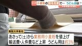 「原価というものが上がるわけで売値を上げたくない気持ちはある」小麦粉の価格上昇で…うどん店は 愛媛県松山市　|　愛媛のニュース - Nスタえひめ｜あいテレビは6チャンネル