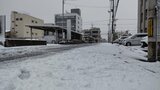 鳥取で「初雪」　平年より１２日、去年より３日遅く　|　BSSニュース | BSS山陰放送