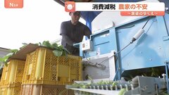 「2年間なんとかしのごう…」食料品の消費税減税で農家の現場は　求められる“置き去り”にしない実効性のある支援策| TBS CROSS DIG with Bloomberg
