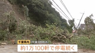 千葉で約1万軒の停電続く 倒木や土砂崩れが電力会社の車両など阻み復旧進まず 台風26号にも警戒| TBS CROSS DIG with Bloomberg