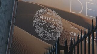 パリの博物館から金塊2.6億円相当を窃盗 中国出身の女を拘束| TBS CROSS DIG with Bloomberg