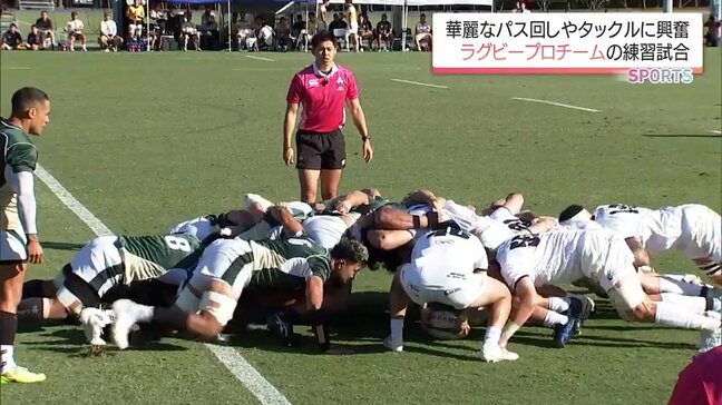 宮崎市で合宿中　ラグビーリーグワン・トヨタヴェルブリッツと九州電力キューデンヴォルテクスの練習試合が一般公開|TBS NEWS DIG