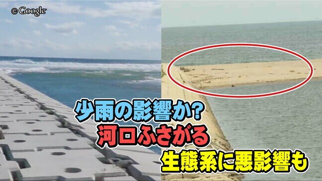 生物の楽園“干潟”が少雨でピンチ 河口が土砂でふさがる「長引けば生態系に悪影響」 仙台|TBS NEWS DIG