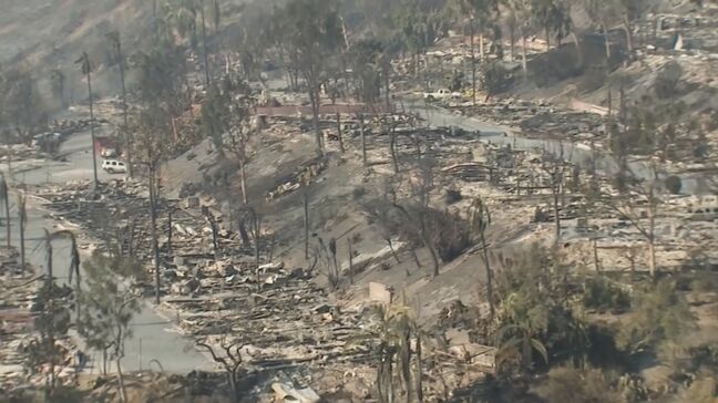 日本政府 アメリカLAの山火事に200万ドル支援を発表|TBS NEWS DIG