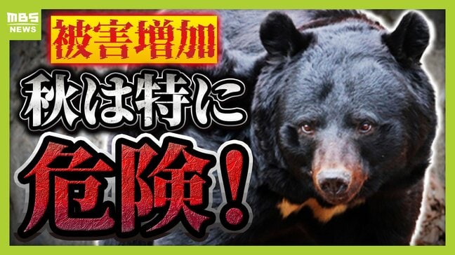 【冬眠前の今が危険!】特に"2歳のクマ"に注意 被害増加の原因は人間の「過疎化・高齢化」か... 専門家「来年以降もこの状況は改善していかない」|TBS NEWS DIG