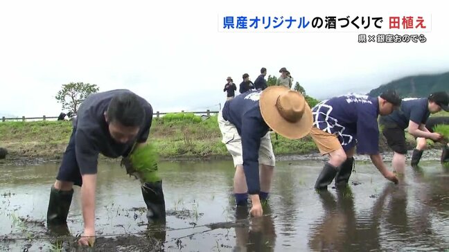 「銀座おのでら」 熊本県産オリジナルの酒造りに挑戦 阿蘇市で酒米の田植え|TBS NEWS DIG