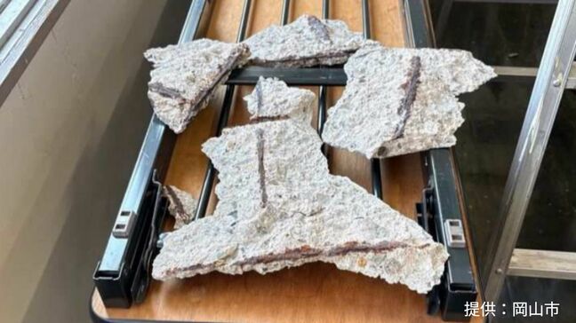 【速報】岡山市立上南公民館の青少年談話室でコンクリート片3個などが落下　けが人はなし【岡山】|TBS NEWS DIG